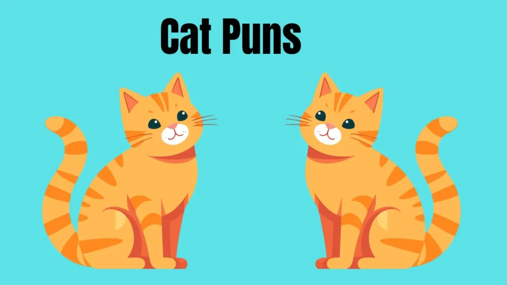 Cat Puns