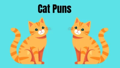 Cat Puns