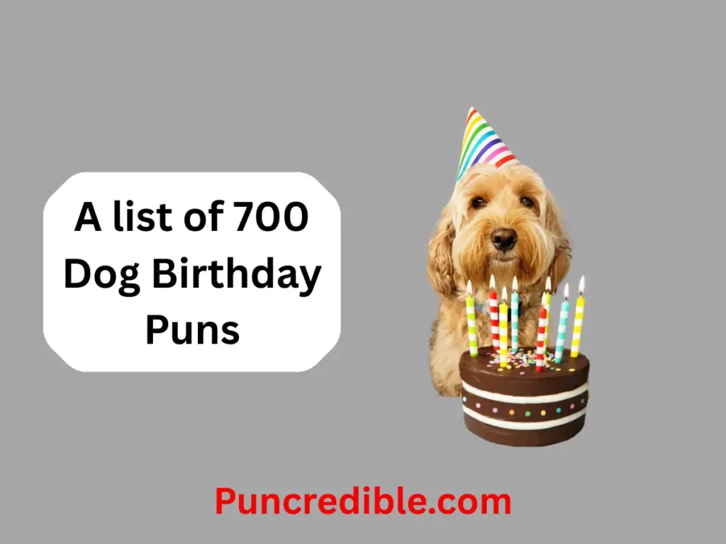 Dog Birthday Puns