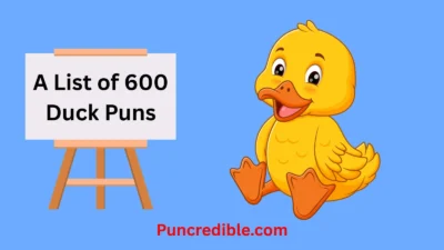 Duck Puns