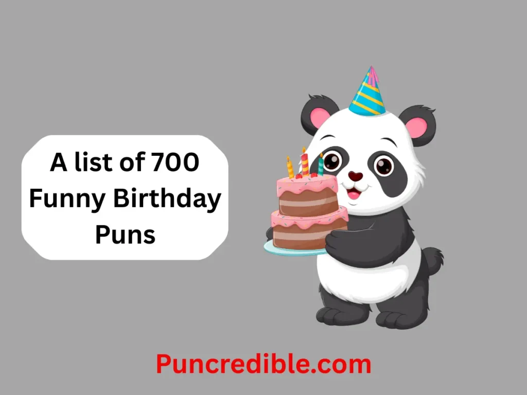 Funny Birthday Puns