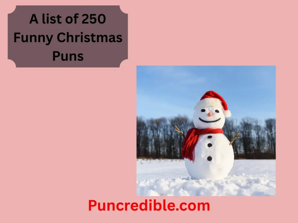 Funny Christmas Puns
