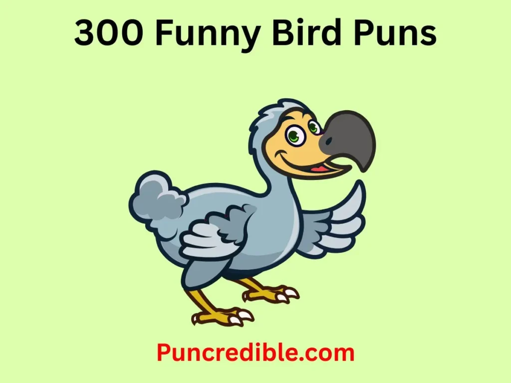 Funny Bird Puns