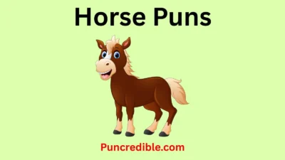 Horse Puns