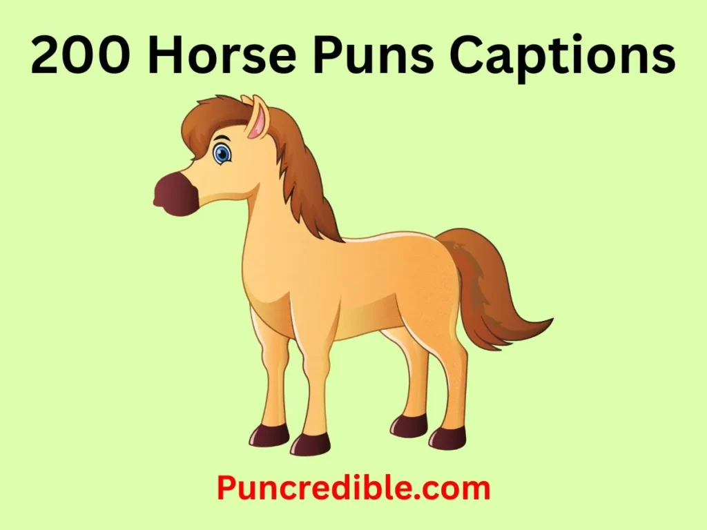 Horse Puns Captions