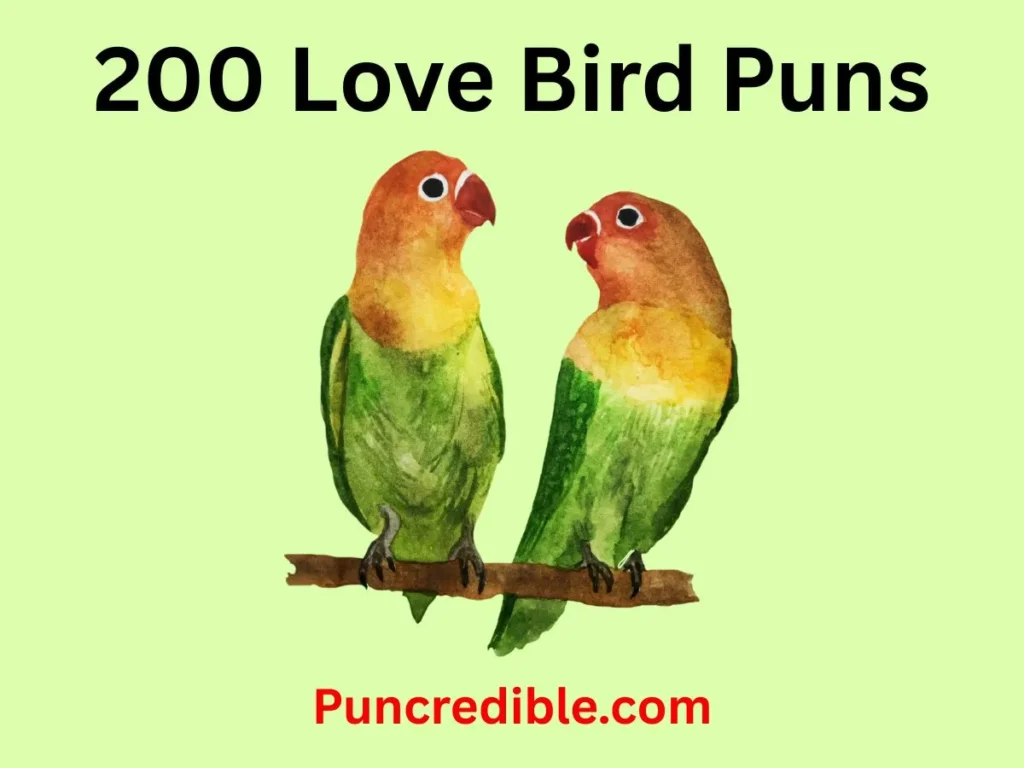 Love Bird Puns