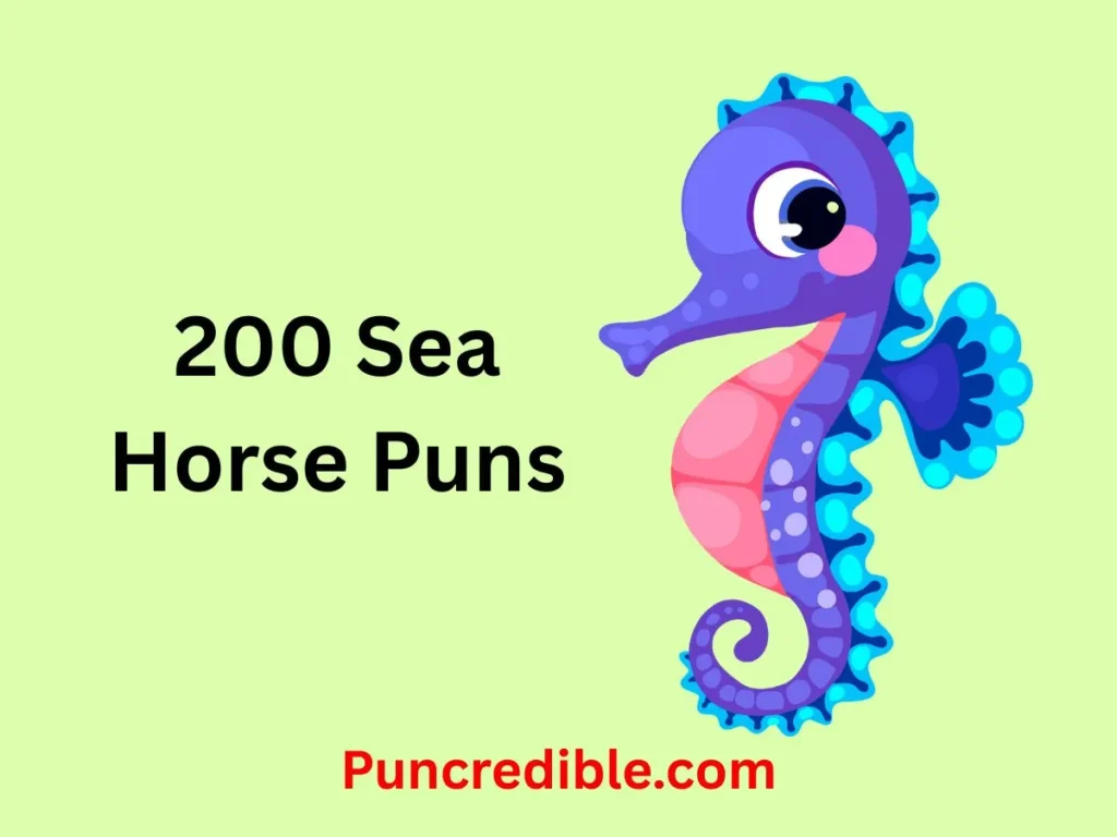 Sea Horse Puns