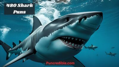 Shark Puns