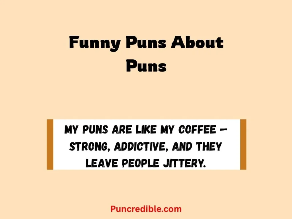 Funny Puns About Puns