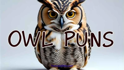 Owl Puns