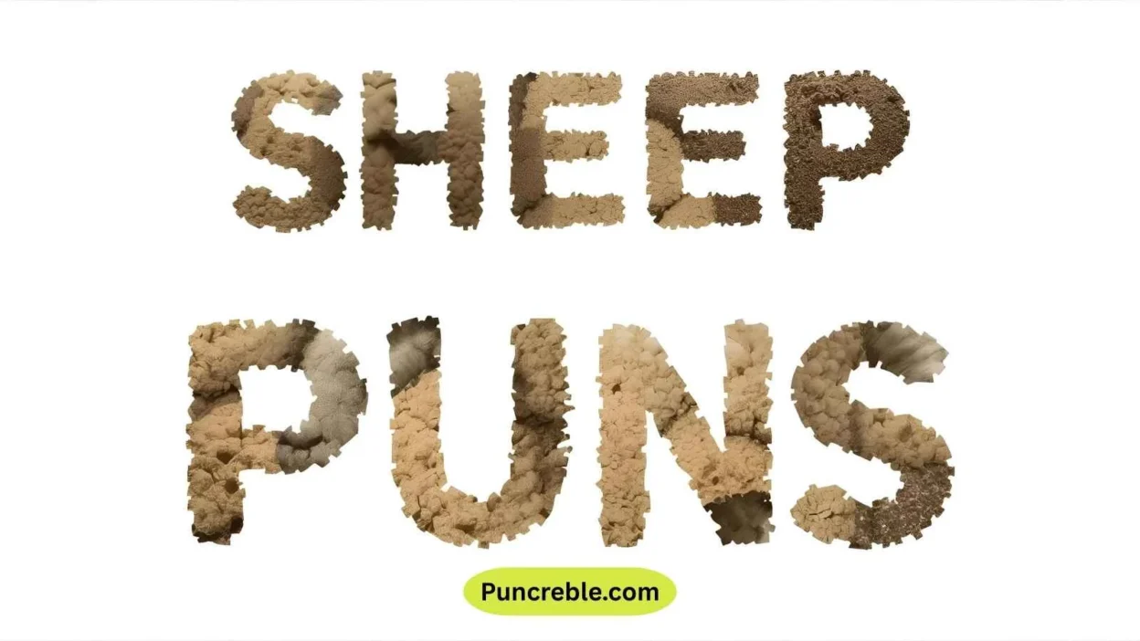 Sheep Puns