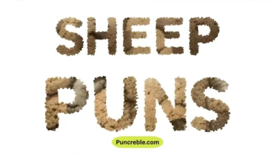 Sheep Puns