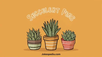 Succulent Puns