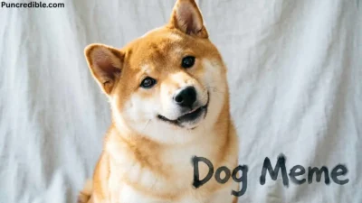 Dog Meme