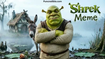 Shrek Meme