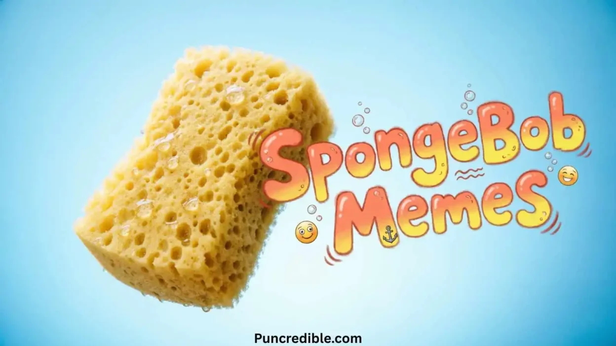 Spongebob Meme